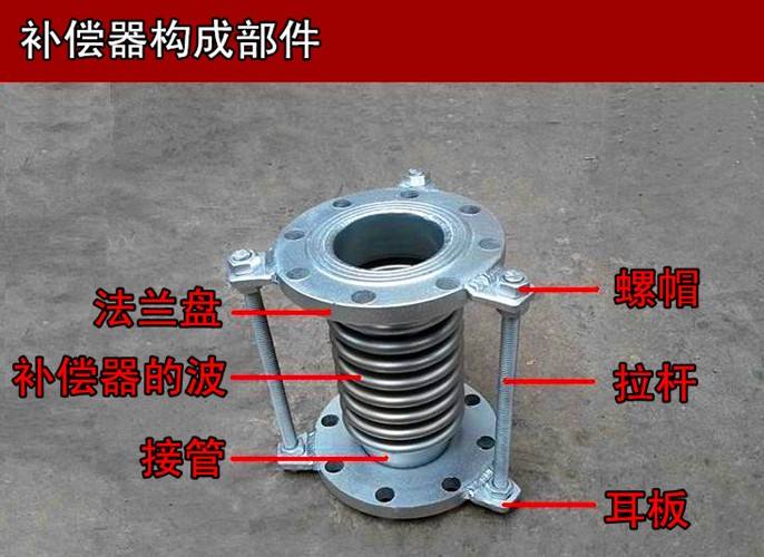 太原波紋小猪视频免费版下载